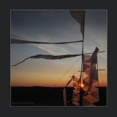 Shambal. 2015 Shambal. 2015