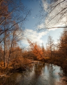 ...последние дни осени ...последние дни осени