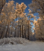 на рассвете...