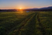 Полевая дорожка к закату.