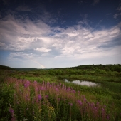 После грозы. Июль