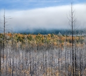 Утро осеннее