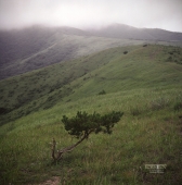 прочьночьбестолочь