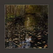 канал в осень. 2016