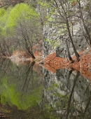 весны отраженье