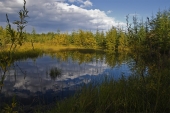 Отразилась осень в зеркале болот...