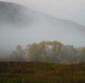 туманное настроение