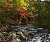 Чистоводный ключик Чистоводный ключик