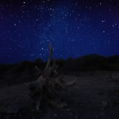 Ночной страж.