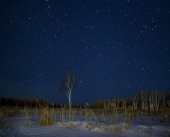 Во поле березка ночевала...