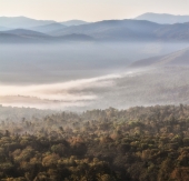 Уссурийская тайга