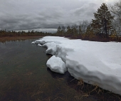 Утро пасмурного мая