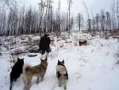 Трудный перевал