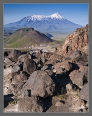 Толбачики с Безымянного