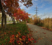 Кленовая Кленовая