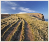 Все дороги ведут в...