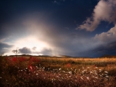 через минуту был дождь...