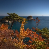 погожий денек погожий денек