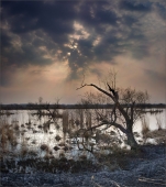 на пепелище