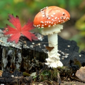 переведи время!!! переведи время!!!