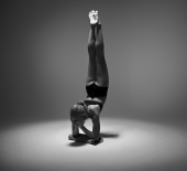 Йогини любви III