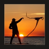 укротитель. 2015