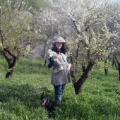 "на золотом крыльце сидели..." "на золотом крыльце сидели..."