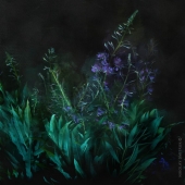 летняя ночь. 2014