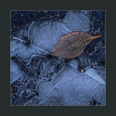 первый лёд. 1