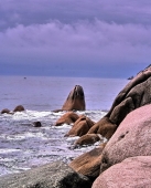 Голова кита