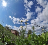 Осеннее действие...