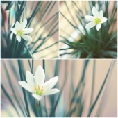 пришла пора)