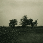 Летний вечер