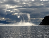 Выкрутасы острова "Завъялова"