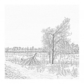 выписной эпикриз