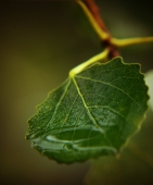 Лишь миг без движения Лишь миг без движения