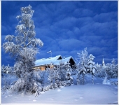 Где полгода зима