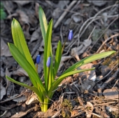 Трое в лодке + лето...