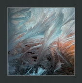 Хвилі Амура. 2016