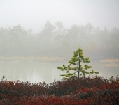 На той стороне Родина На той стороне Родина