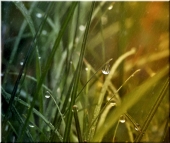 Завтра был дождь.. Завтра был дождь..