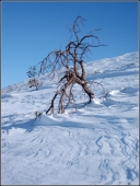 Плато ветров