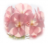 С ДНЁМ ЗАЩИТНИКА ОТЕЧЕСТВА!