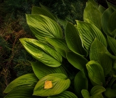 приметы осени приметы осени