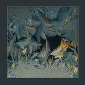 птицелов. зима. 2017