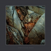 каменные рыбы