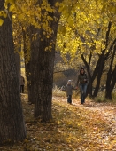 осень в парке