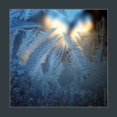 графика мороза 6. 2019