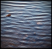 Состояние Дзен