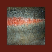 лосось 1. Finland. Rahula